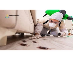 Cockroach Control Rockingham