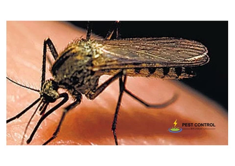 Mosquito Control Brunswick