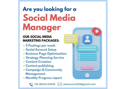 Are You Looking For Digital Marketing Services - 2/4