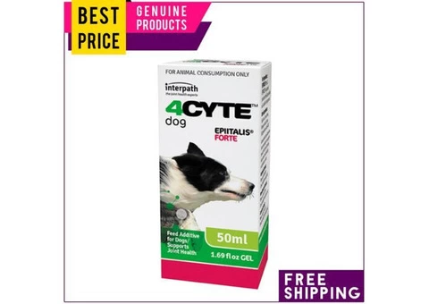 Is your dog suffering from joint problems?