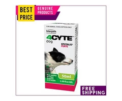 Is your dog suffering from joint problems?