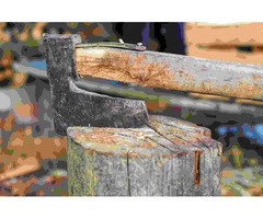 Get reliable Tree Lopping Services in Sydney