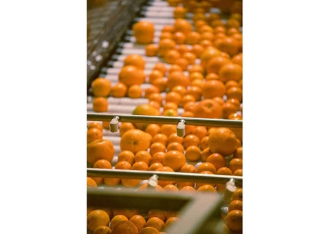 Eastcoast Beverages - 5/8