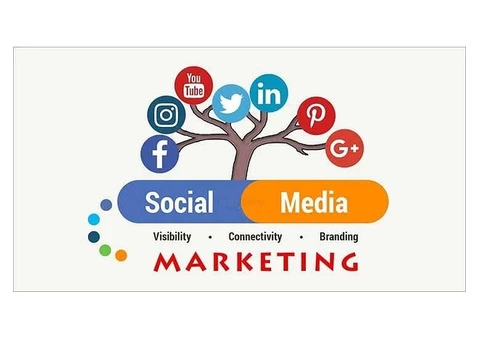Revolutionize Your Digital Marketing with Our Social Media Agency in Bacchus Marsh