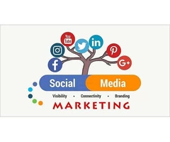 Revolutionize Your Digital Marketing with Our Social Media Agency in Bacchus Marsh
