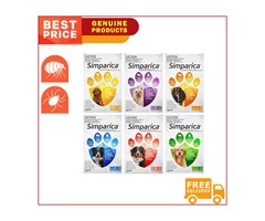 Simparica chews, protects from Flea and ticks.