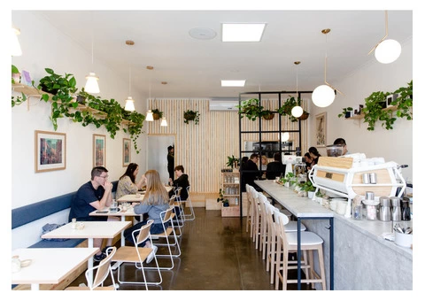 Discover the Authentic Japanese Cafe in Sydney | Kahii