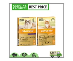 The biggest solution for your pet's flea infestations.