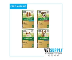 Get advatage for flea and tick on your dogs.