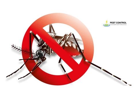 Mosquito Control Brighton