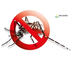 Mosquito Control Brighton