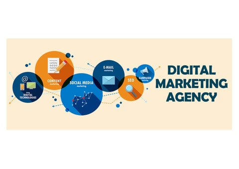 Digital Marketing Services - Pumpkin Graphics