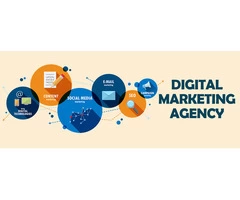 Digital Marketing Services - Pumpkin Graphics