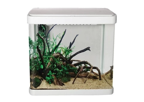 Single Window Shop to Buy Attractive Range of Fish Tanks Online in St Marys