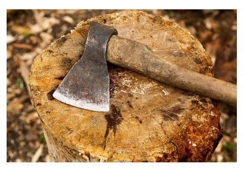 Looking for Emergency Tree Removal in Randwick?