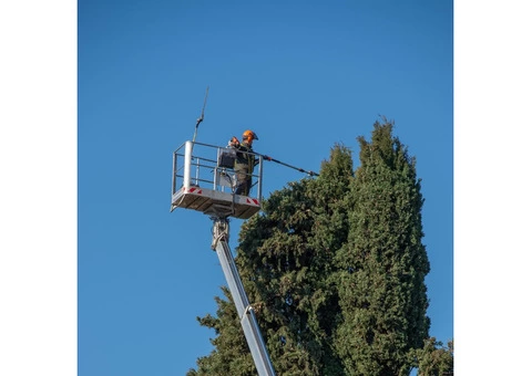 Best licensed tree service in Adelaide