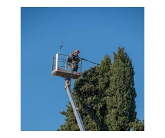 Best licensed tree service in Adelaide