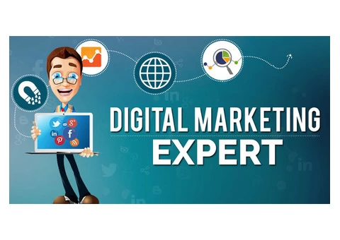 Digital Marketing Expert in Bacchus Marsh