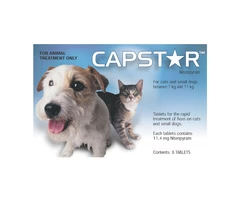 Capstar for Cats | Capstar Flea Tablets For Cats Online