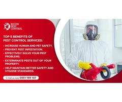 Recon pest control services in Melbourne | Best Pest control service provider