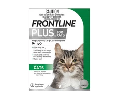 Frontline Plus for Cats | Frontline Plus Flea Treatment for Cats