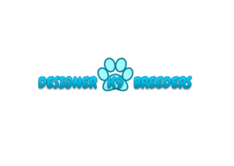 Dog Breeders Melbourne, VIC | Designer K9 Breeders