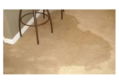 Effective Water Damage Carpet Cleaning Melbourne Services