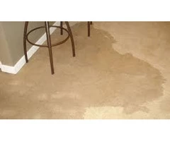 Effective Water Damage Carpet Cleaning Melbourne Services