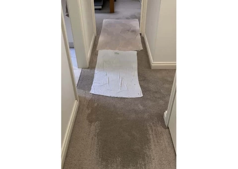 Effective Water Damage Restoration Melbourne Services