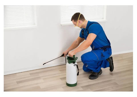 Best Pest Control Geelong