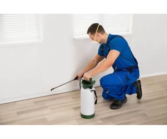 Best Pest Control Geelong