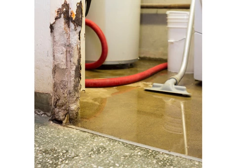 Best Quality Emergency Flood Restoration Canberra Services