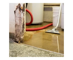 Best Quality Emergency Flood Restoration Canberra Services