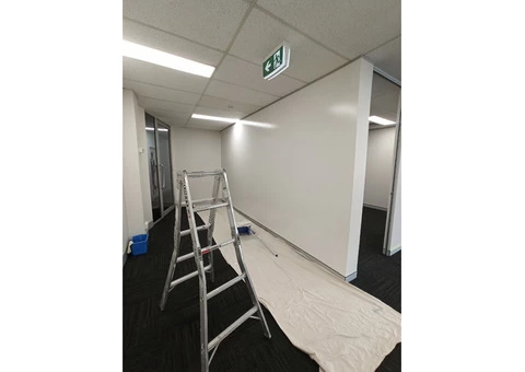 Affordable Professional Painter - 5/8