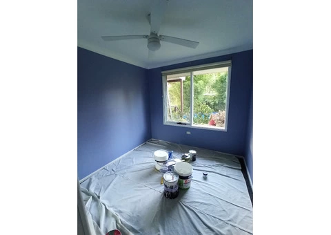 Affordable Professional Painter - 7/8