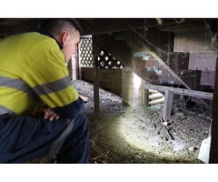 Rodent control gold coast