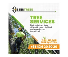 Tree Trimming Near Me