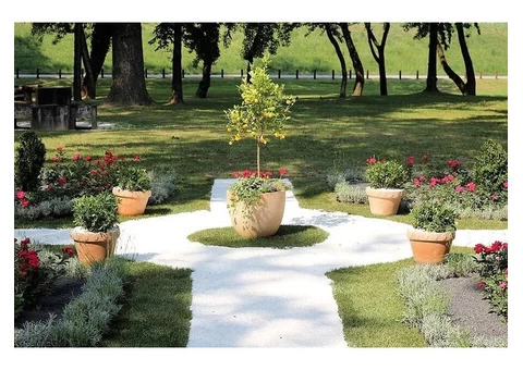 Transform Your Landscape With Our Tree Pruning Services