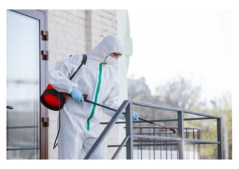 Do You Need Guaranteed Results From Fumigation Treatment?