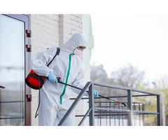 Do You Need Guaranteed Results From Fumigation Treatment?
