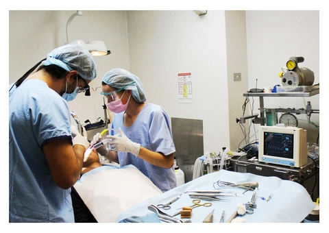 Get Safe Wisdom Teeth Removal Sydney - 2/4