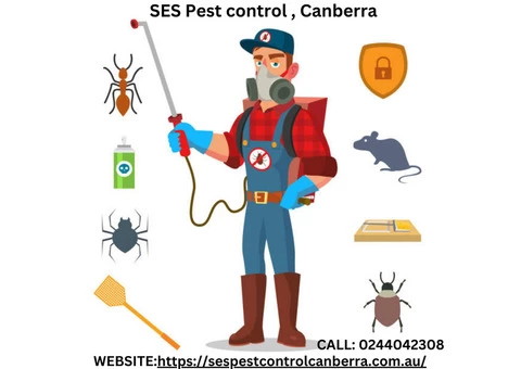 Fleas Control Canberra