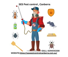 Fleas Control Canberra
