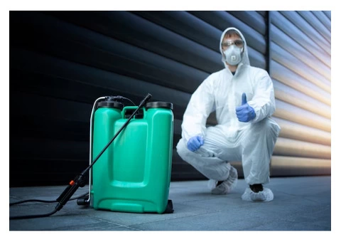 Rent a Disinfectant Fogger Machine for a Germ-Free Space!