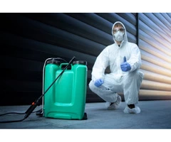Rent a Disinfectant Fogger Machine for a Germ-Free Space!
