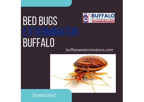 Professional Bed Bug Treatment | Buffaloexterminators - 2/2