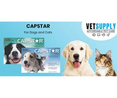 Buy Capstar Flea Treatment Tablets for dogs & cats | VetSupply
