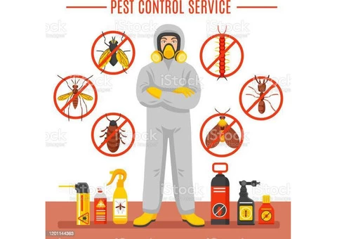 Flatline Pest Control - Solar Panel Pigeon Control Central Coast