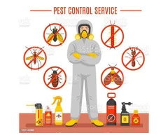 Flatline Pest Control - Solar Panel Pigeon Control Central Coast