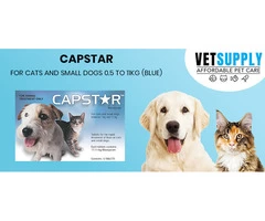 Buy Capstar For Cats And Small Dogs 0.5 To 11Kg (Blue) 6 Tablet Online